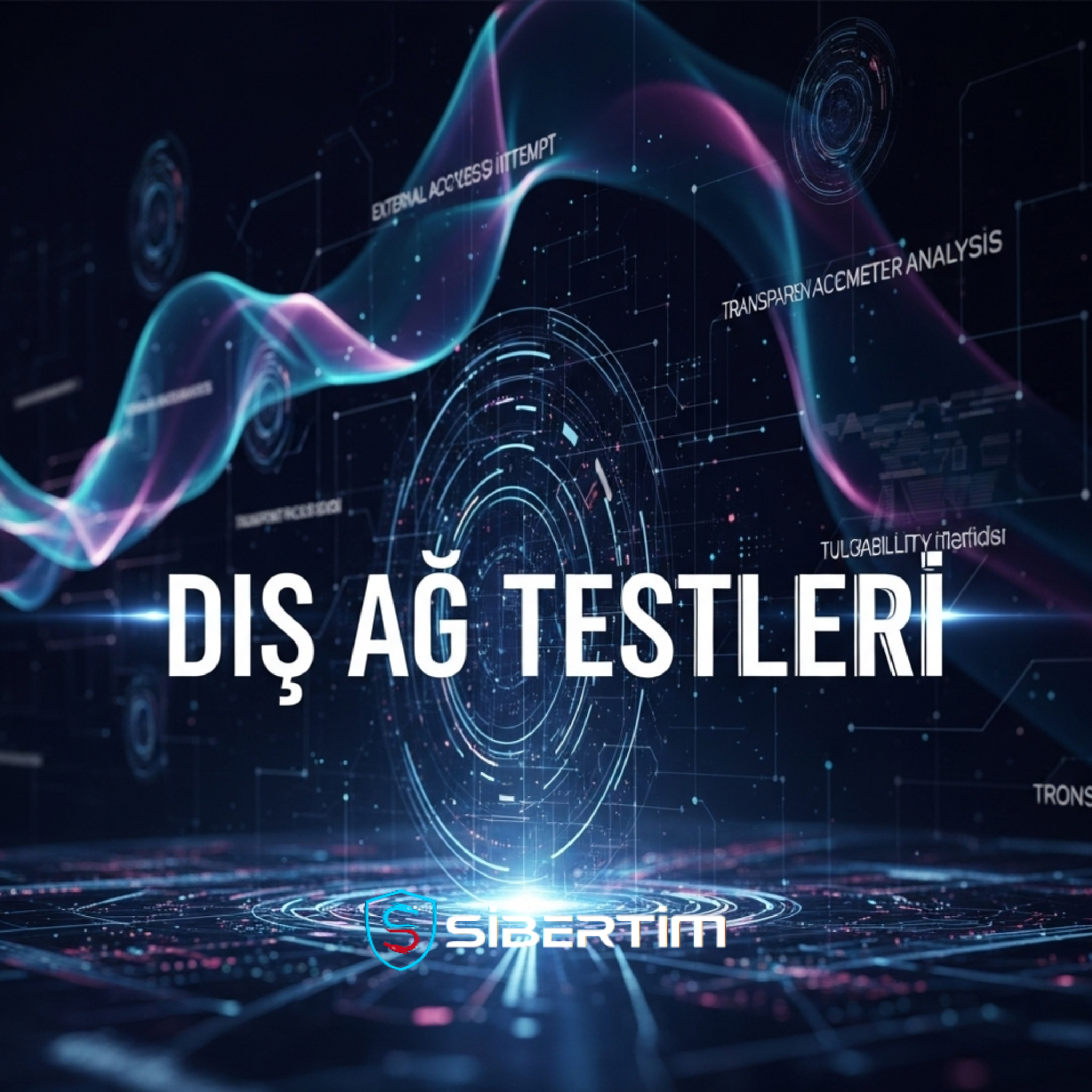 Dış Ağ Testleri-Sibertim