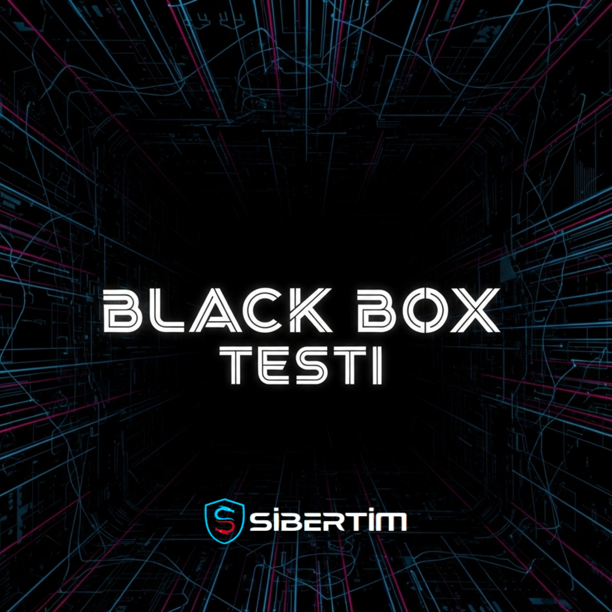 Black Box Testi-Sibertim