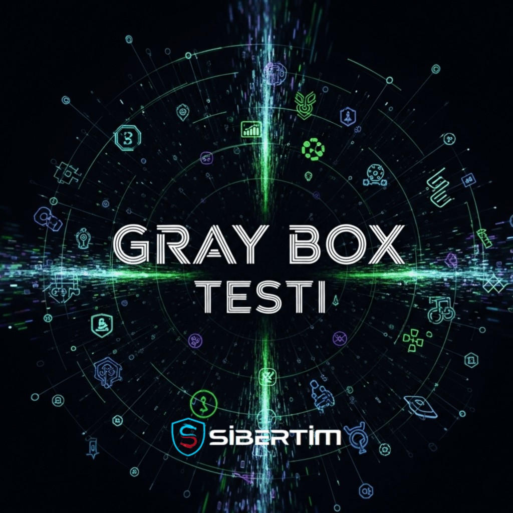 Gray Box Testi-Sibertim