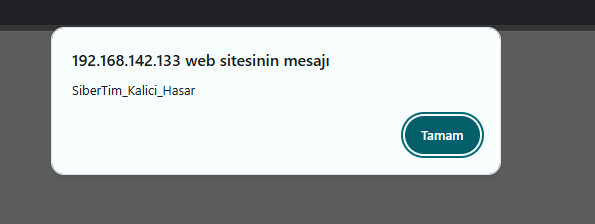 Stored XSS Kalıcılık