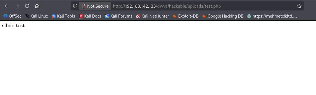 PHP çalışma kanıtı