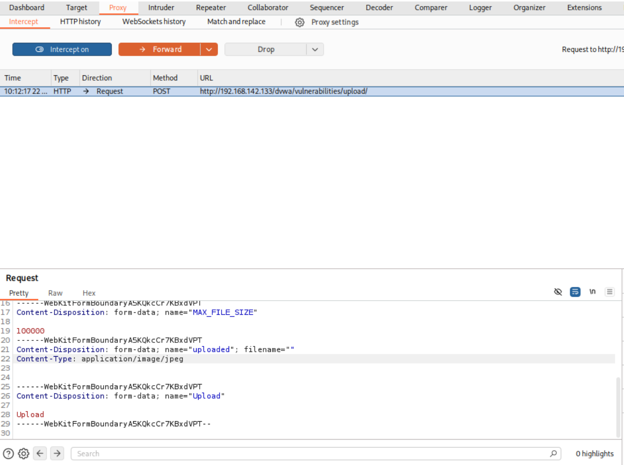 Burp Suite Intercept